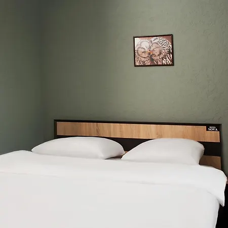 Hotel Sova 3*