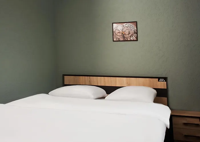 Hotel Sova 3*